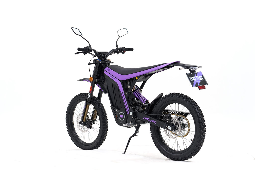 79Bike Lynx L1e-B vue trois-quarts arrière avec support de plaque