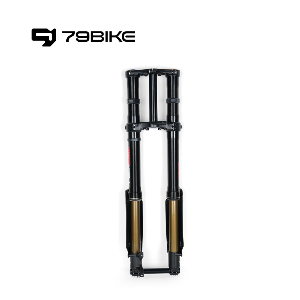 Fourche avant FASTACE ALX33RC 2.0 d'origine 79Bike Falcon Pro