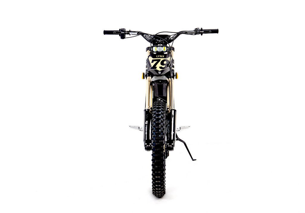 79BIKE Lynx moto électrique tout-terrain vue arrière
