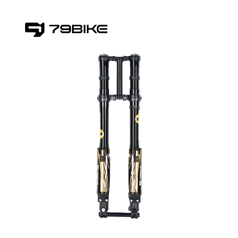 Fourche avant FASTACE ALX33RC 2.0 d'origine 79Bike Falcon Pro